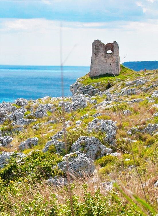 foto torre del sasso